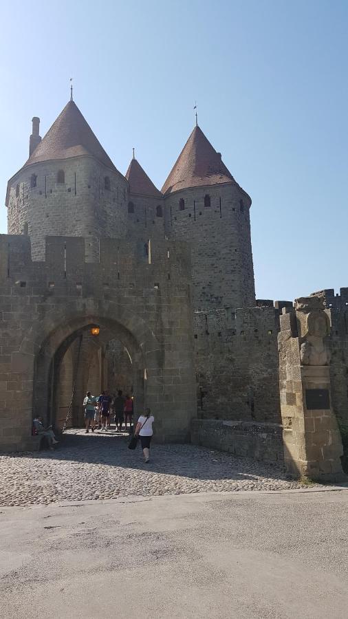 Maison vue Cité 1 Villa Carcassonne Esterno foto